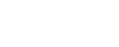 Wittywolf white logo