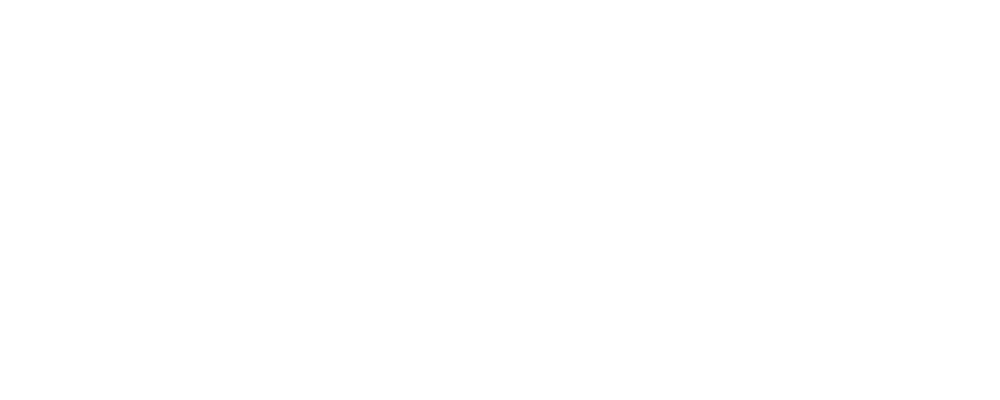 Wittywolf white logo